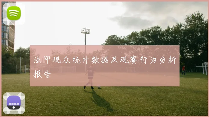 法甲观众统计数据及观赛行为分析报告