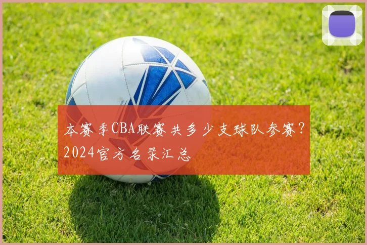 本赛季CBA联赛共多少支球队参赛？2024官方名录汇总
