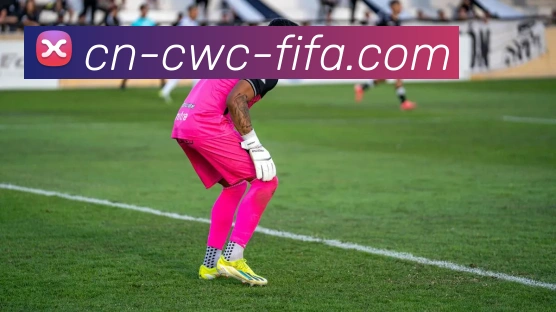 世界杯买球平台生态图