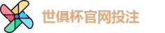 2025世界俱乐部杯
